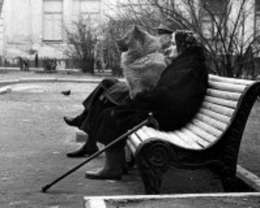 Реформы пенсионной системы не сулят россиянам обеспеченной старости