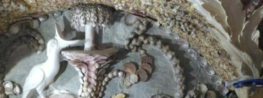 24 вида раковин моллюсков: как океанологи помогают восстанавливать старинный Грот