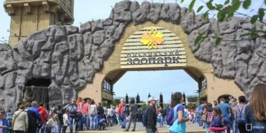 Экологические акции в зоопарке. Смотреть фото Экологические акции в зоопарке. Смотреть картинку Экологические акции в зоопарке. Картинка про Экологические акции в зоопарке. Фото Экологические акции в зоопарке
