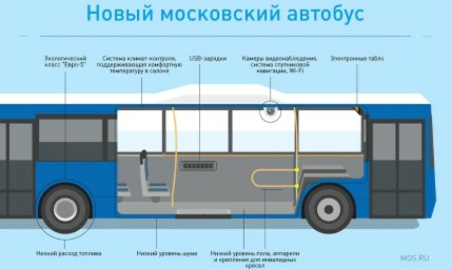 Новые возможности для пассажиров: движение автобусов открылось еще по двум маршрутам