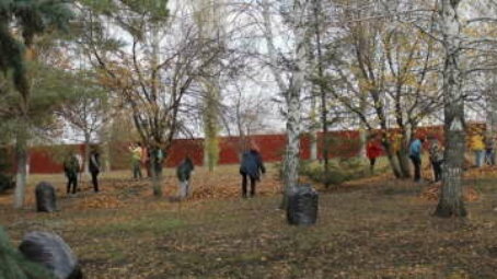 Нацпроект «Экология»: Саратовская область проводит осенний экологический марафон