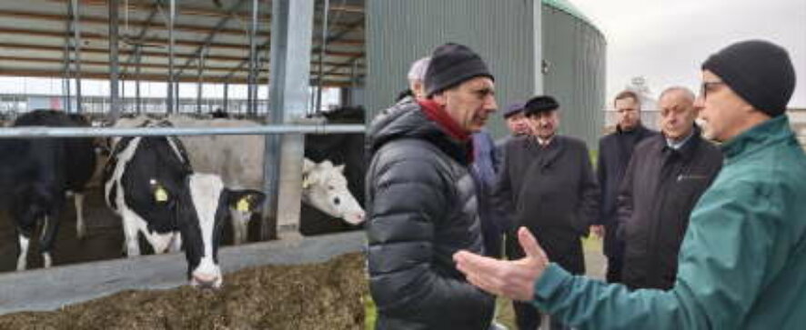 Валерий Радаев ознакомился с опытом работы современной молочной фермы в Германии