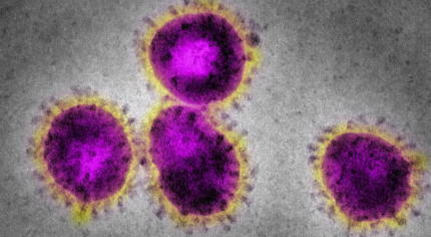 Роспотребнадзор подтвердил еще один случай заболевания коронавирусом в России