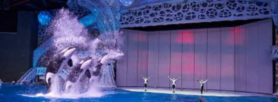 Премьерные показы «Шоу Воды» состоялись в «Москвариуме» на ВДНХ