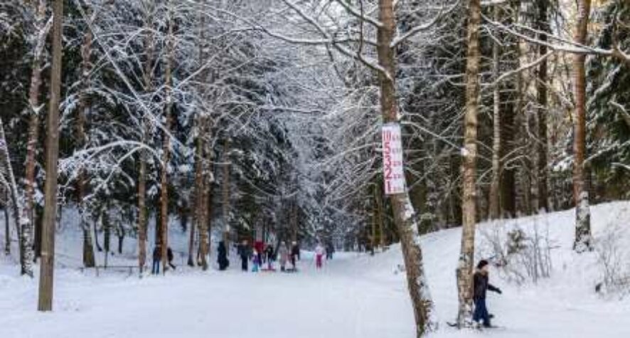 Дмитрий Саблин: проект лыжного центра в Троицке прошел экспертизу
