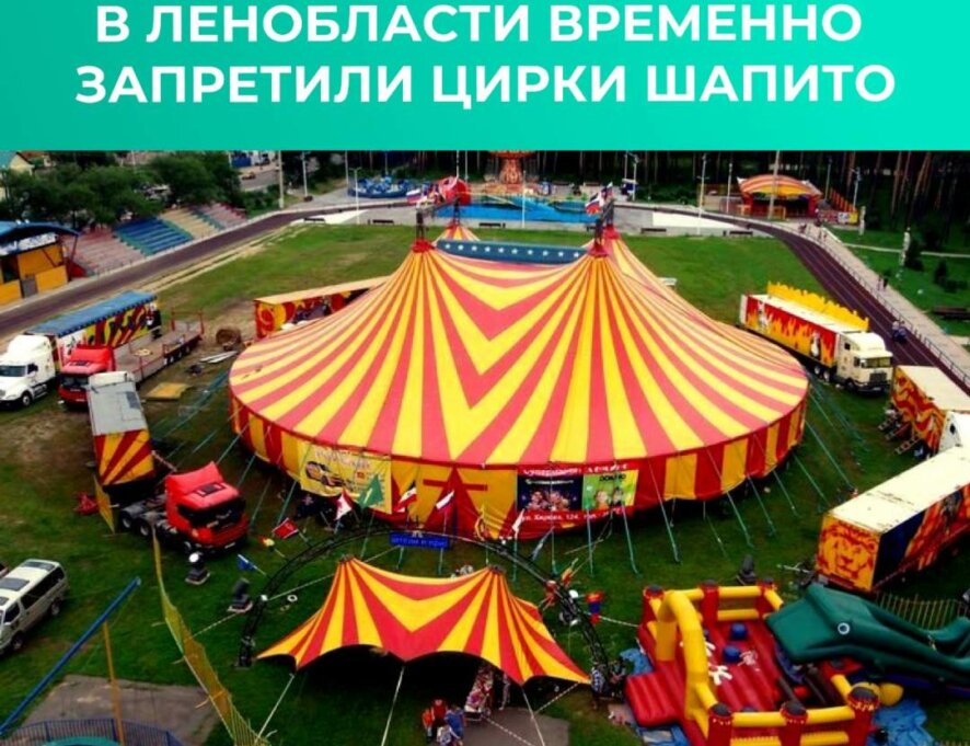 Цирку в Ленобласти не место
