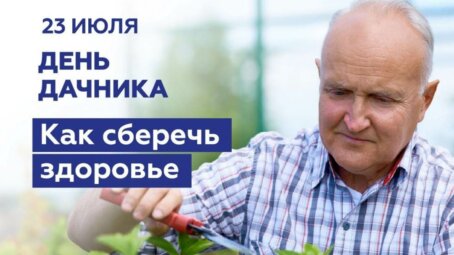 Сезон поездок на дачу в самом разгаре