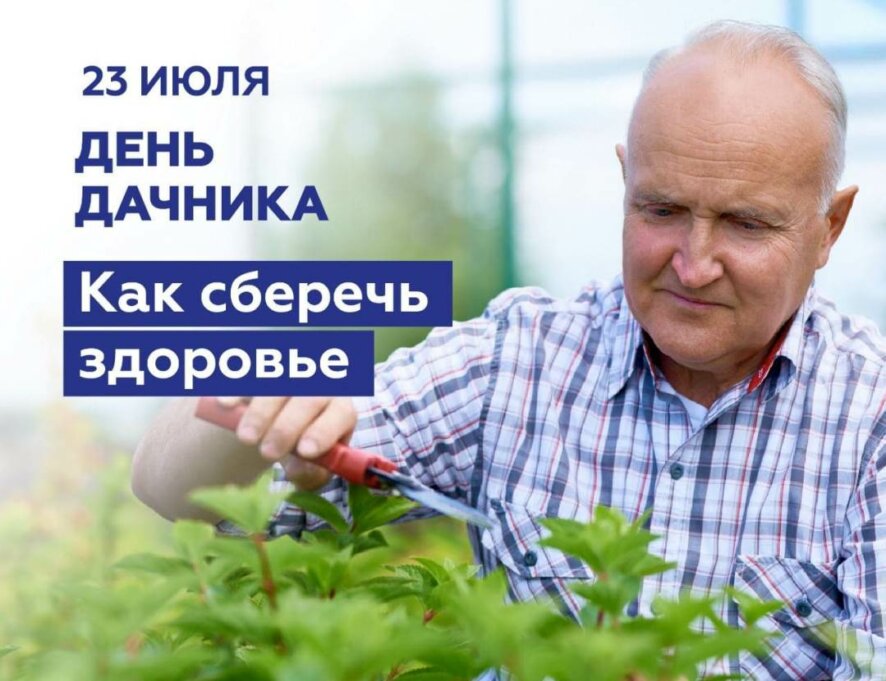 Сезон поездок на дачу в самом разгаре