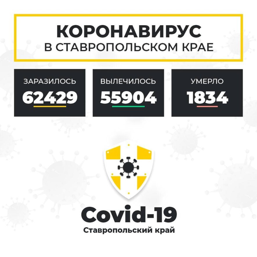 В Ставропольском крае за последние сутки коронавирус диагностирован у 293 человек