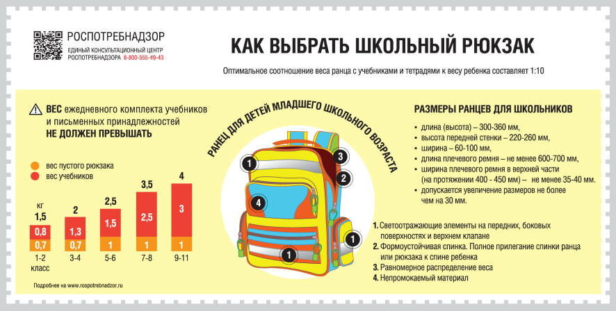 Роспотребнадзор дал рекомендации, как выбрать школьный рюкзак