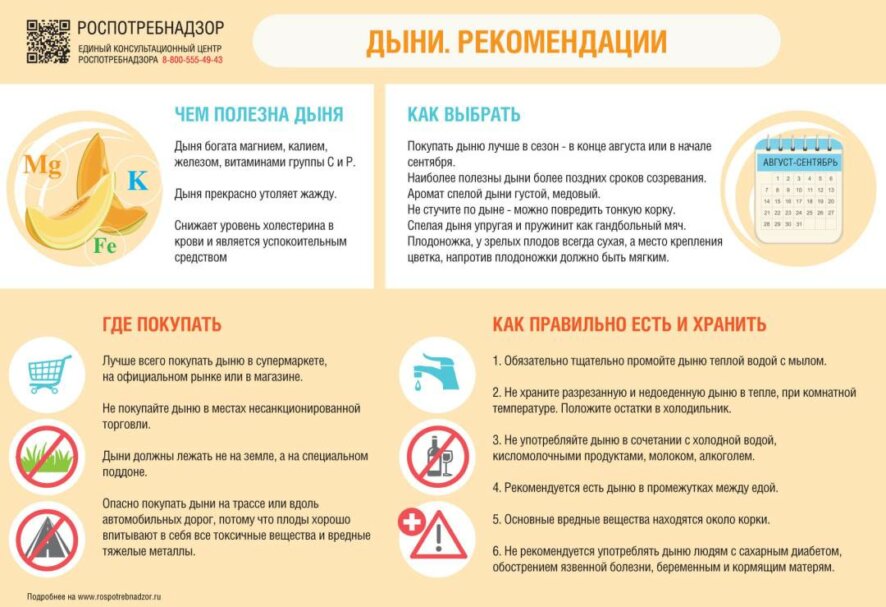 О рекомендациях, как выбрать дыню