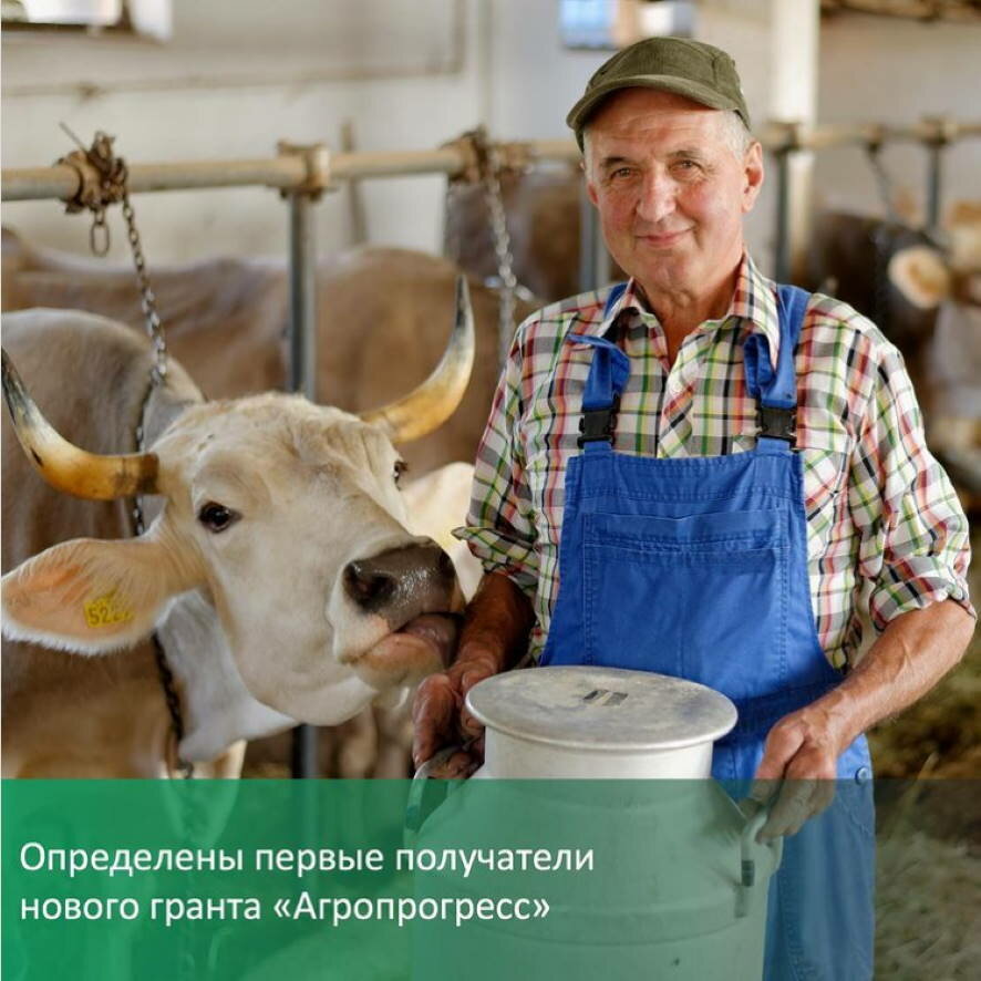 Определены первые получатели нового гранта Минсельхоза «Агропрогресс»