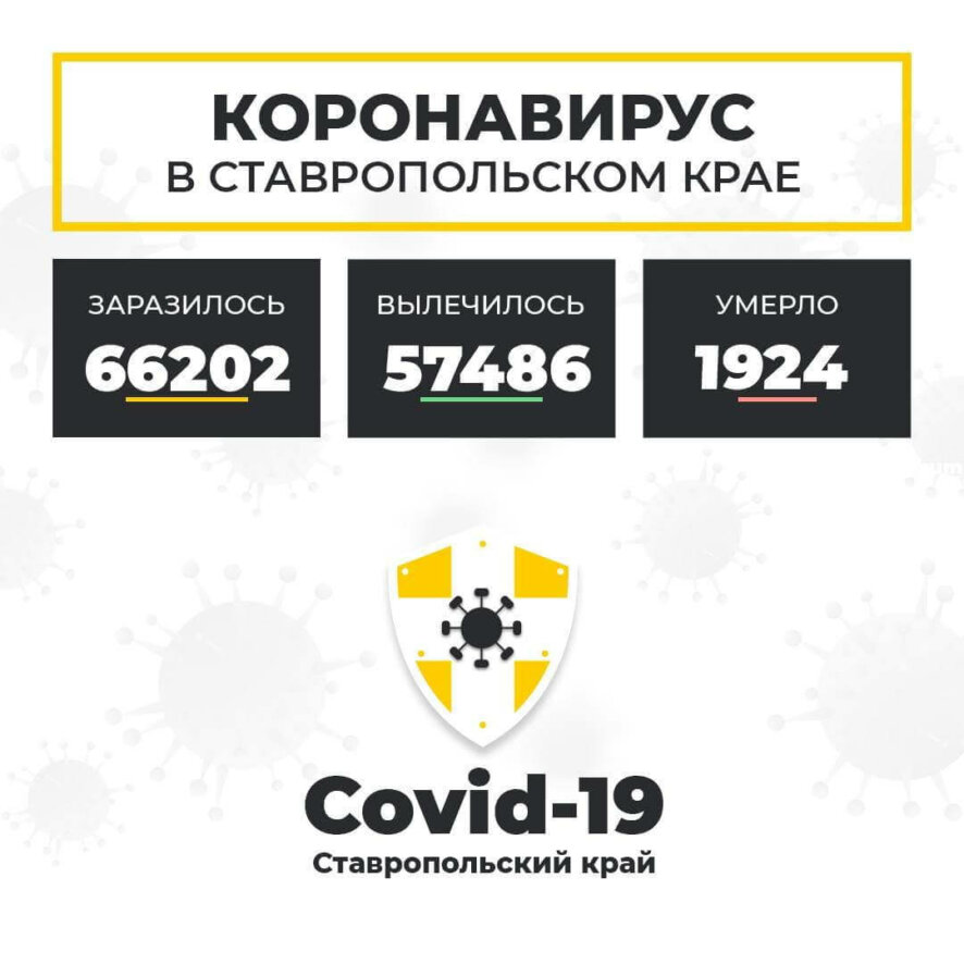 За сутки в Ставропольском крае положительный результат теста на ковид получили еще 330 человек