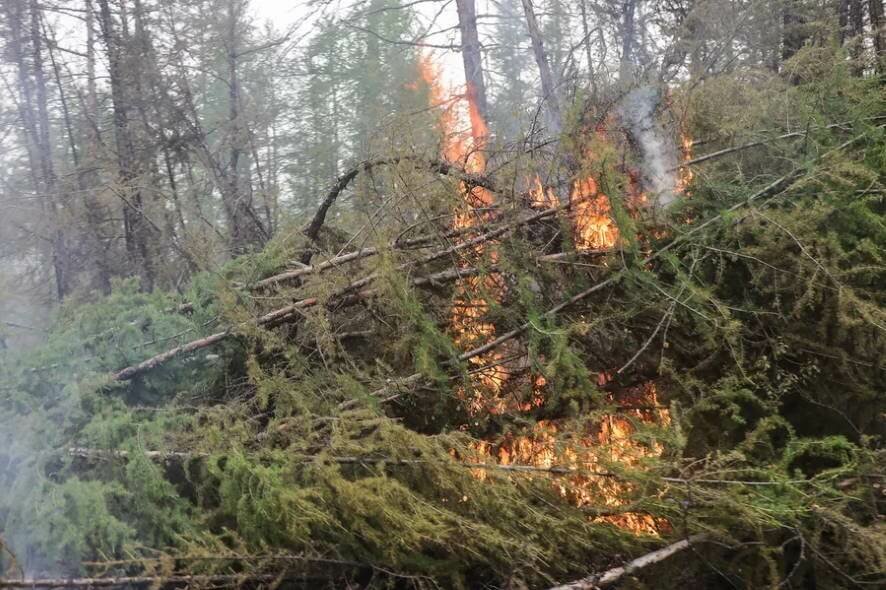 В Оренбургской области потушены два из трех крупных природных пожаров