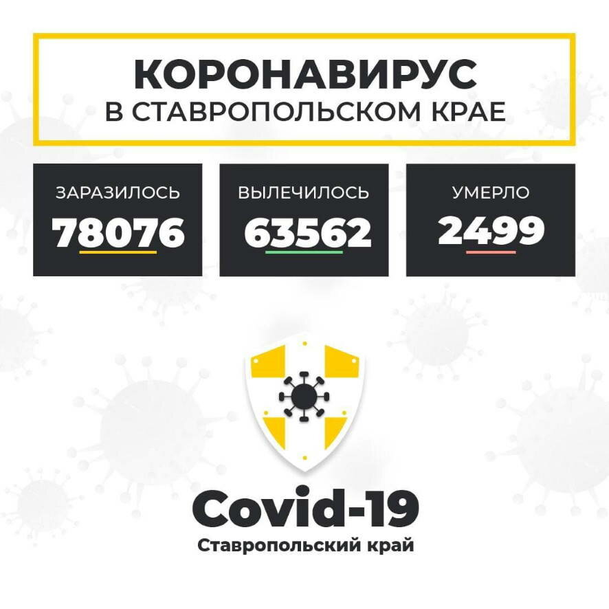 В Ставропольском крае COVID-19 за сутки диагностирован у 356 человек