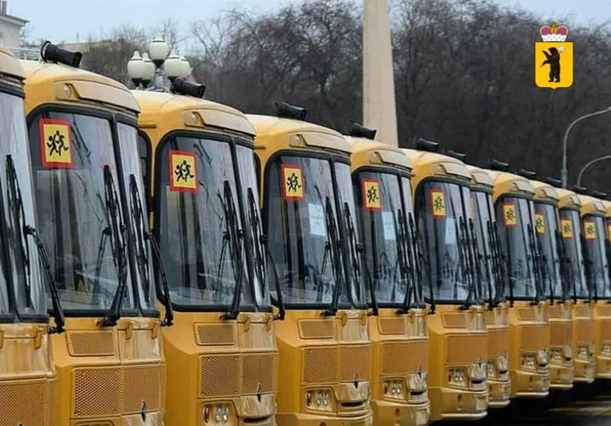 53 новых школьных автобуса поступят в Ярославскую область в ближайшее время