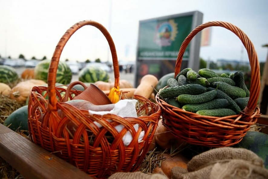В первую субботу октября в Пскове состоится ежегодная областная сельскохозяйственная ярмарка «Осень 2021»
