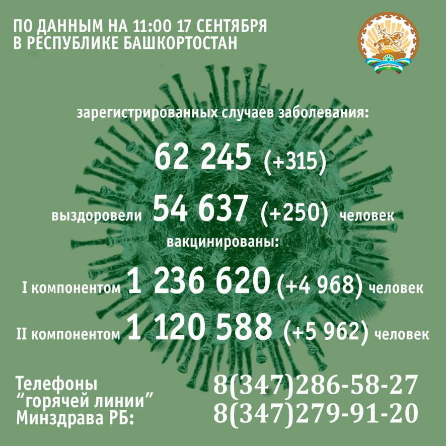 Число заболевших коронавирусом в Башкортостане за сутки составило 315 человек