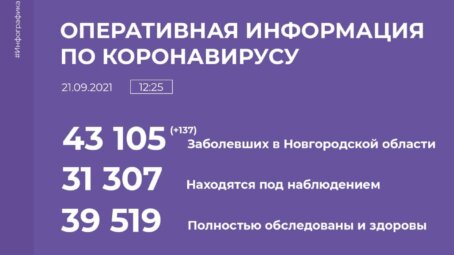 137 жителей Новгородской области за последние сутки получили положительный результат теста на ковид