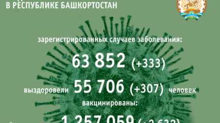 По данным на 22 сентября 333 человека заболели коронавирусом в Башкортостане за минувшие сутки