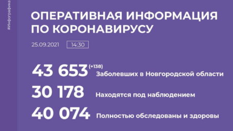 В Новгородской области коронавирус диагностирован у 138 человек