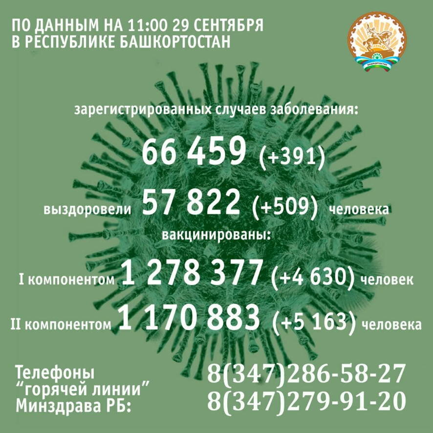 391 случай заражения коронавирусом выявлен в Башкортостане за минувшие сутки