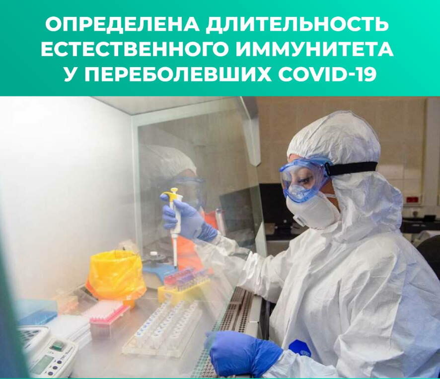 Установлена длительность естественного иммунитета у переболевших COVID-19