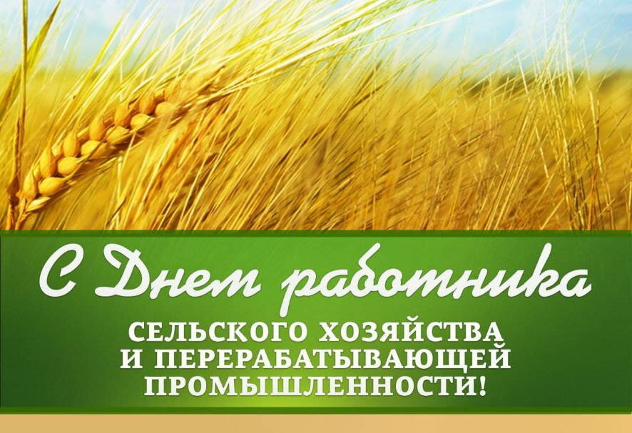 Поздравление Дмитрия Патрушева с Днем работника сельского хозяйства и перерабатывающей промышленности
