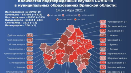 За истекшие сутки в Брянской области подтверждено 315 новых случаев COVID-19