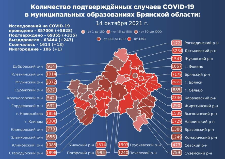 За истекшие сутки в Брянской области подтверждено 315 новых случаев COVID-19