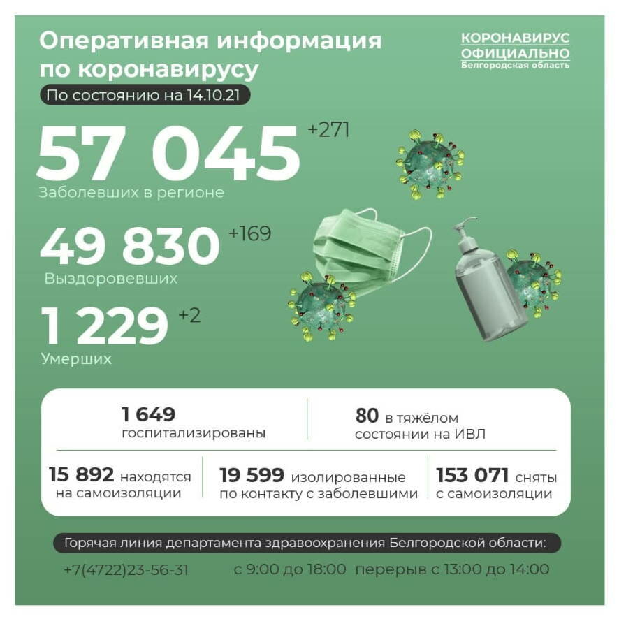 В Белгородской области коронавирус за минувшие сутки диагностирован у 271 человека