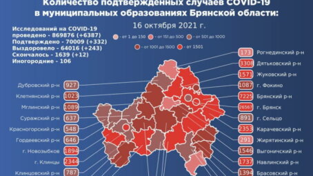 На 16 октября в Брянской области подтверждено 332 новых случая COVID-19