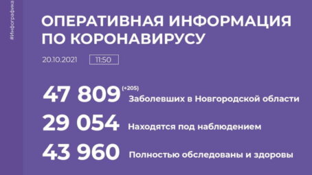 205 новых случаев заражения коронавирусом зарегистрировано в Новгородской области за последние сутки