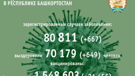 667 человек заболели коронавирусом в Башкортостане за минувшие сутки