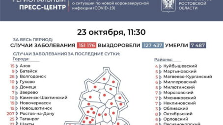 В Ростовской области на 24 октября выявлено еще 600 новых случаев COVID-19