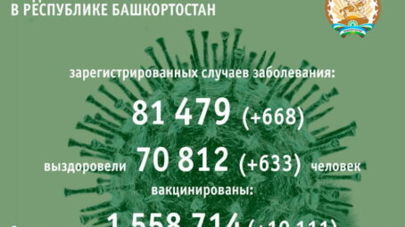 За минувшие сутки COVID-19 в Башкортостане подтвердили у 668 человек