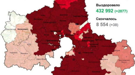 По данным на 26 октября за сутки в Подмосковье выявлено 2930 случаев заболевания коронавирусом