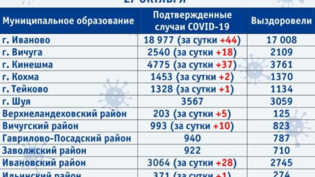 В Ивановской области выявлено еще 219 новых случаев COVID-19