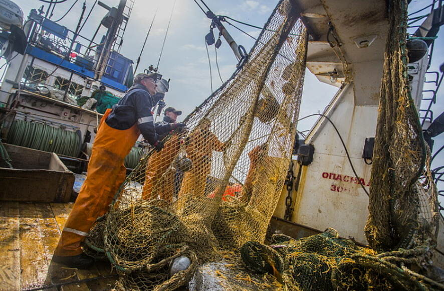 Агентство по рыболовству Приморья озвучило сроки завершения рыбалки на иваси