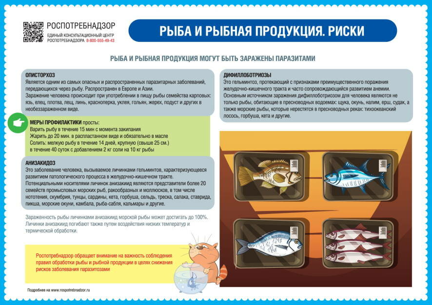 Роспотребнадзор: о рисках, связанных с употреблением рыбы и рыбной продукции