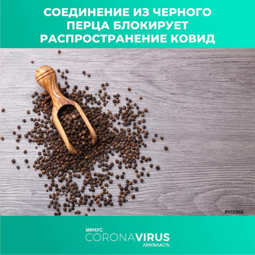 Черный перец блокирует распространение COVID-19?