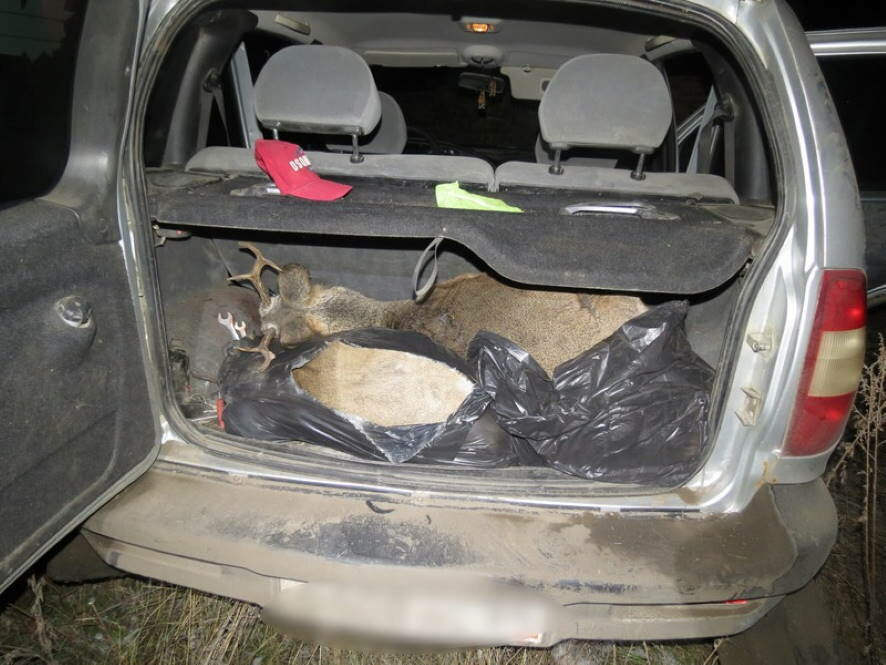 В Саратовской области возбуждено еще одно уголовное дело о незаконной охоте