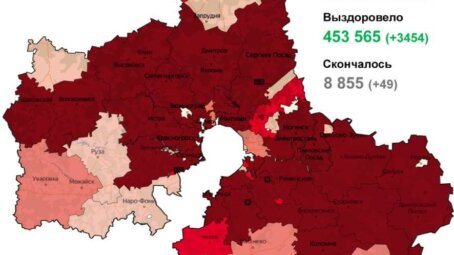 На 2 ноября в Подмосковье зафиксировано 2893 новых случая заражения коронавирусом, 49 пациентов скончались (карта распространения)