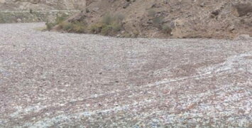 В водоемах Дагестана обнаружены гигантские скопления плавучего мусора