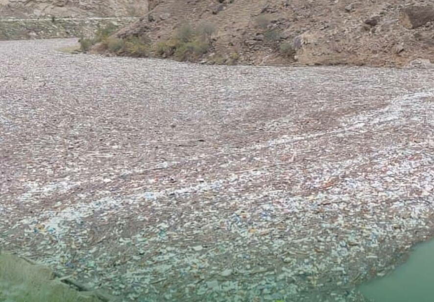 В водоемах Дагестана обнаружены гигантские скопления плавучего мусора