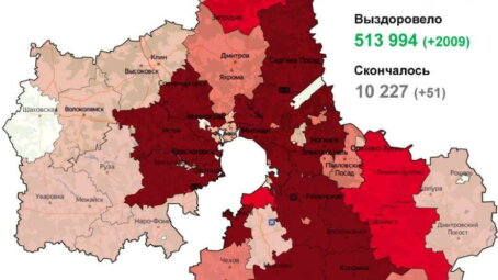 Ковид в Подмосковье на 26 ноября: за сутки коронавирусная инфекция выявлена у 1812 человек (карта распространения)