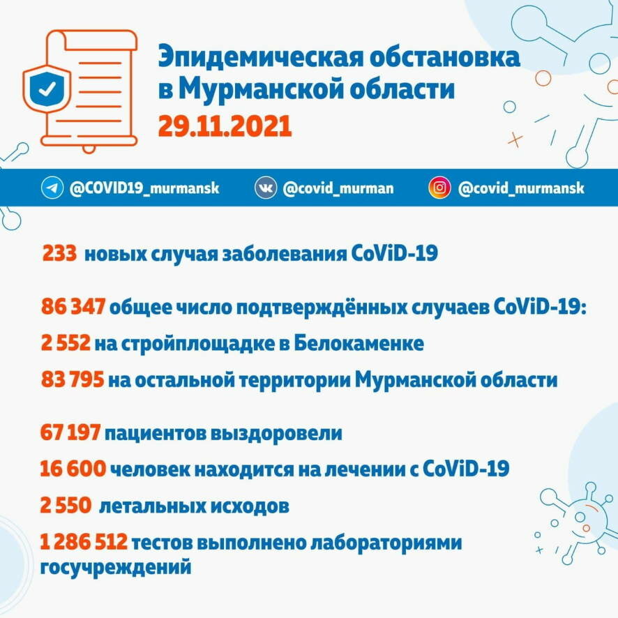 29 ноября в Мурманской области выявлено 233 новых случая заболевания COVID-19