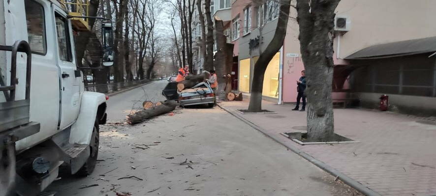 В Крыму штормовой ветер валит деревья и лишает жителей электричества