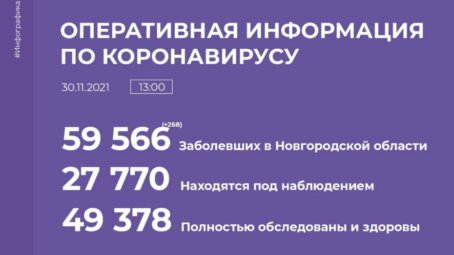 На 30 ноября в Новгородской области ковид диагностирован у 268 человек