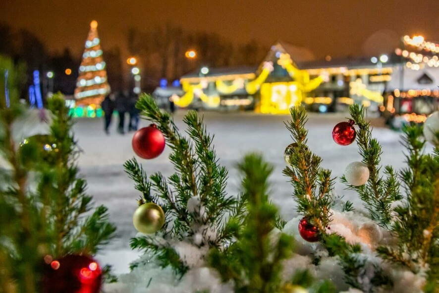 Завтра в муниципалитетах Подмосковья зажгутся новогодние елки